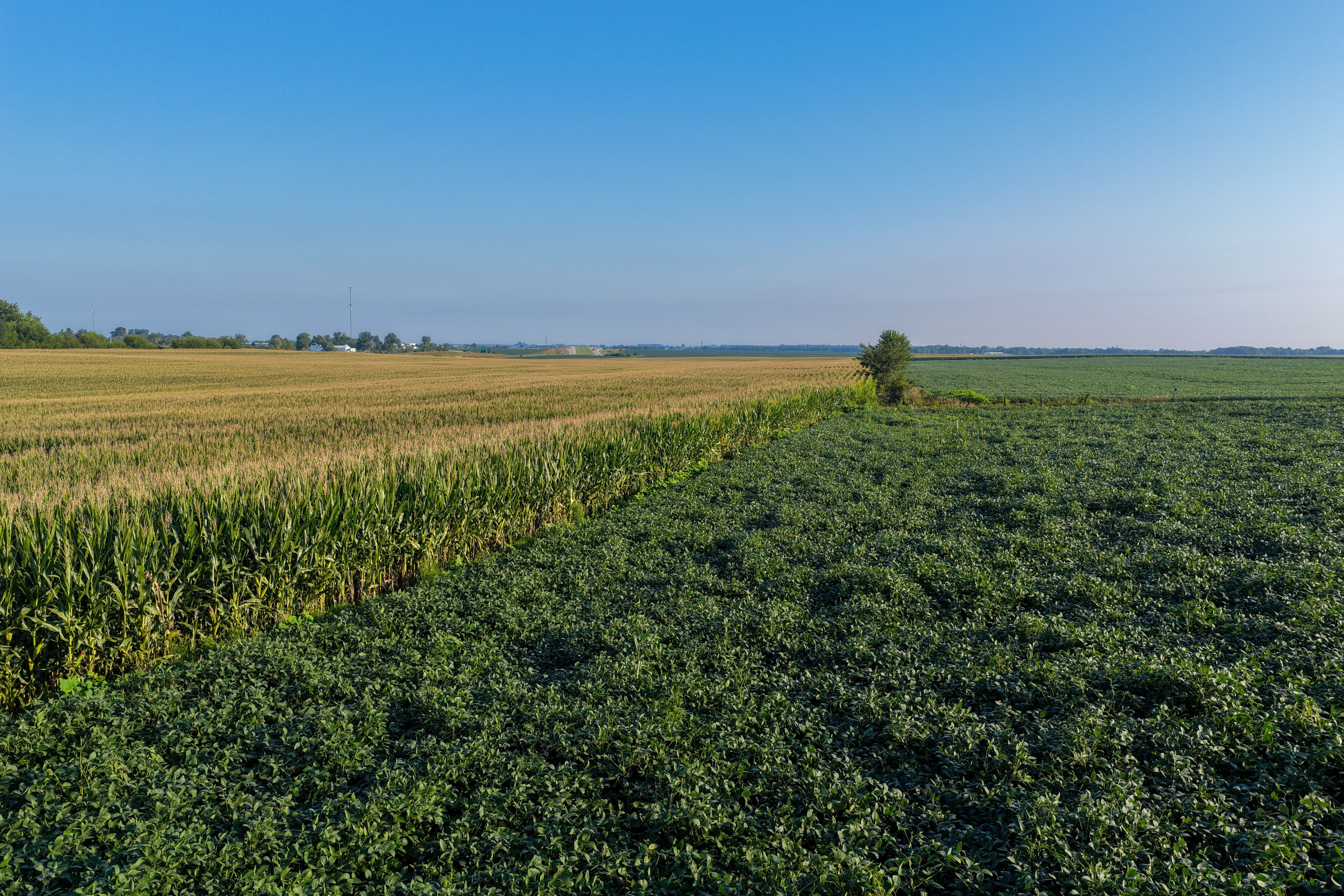 Listing Photo: 90 CSR2 Louisa County Farmland For Sale-2